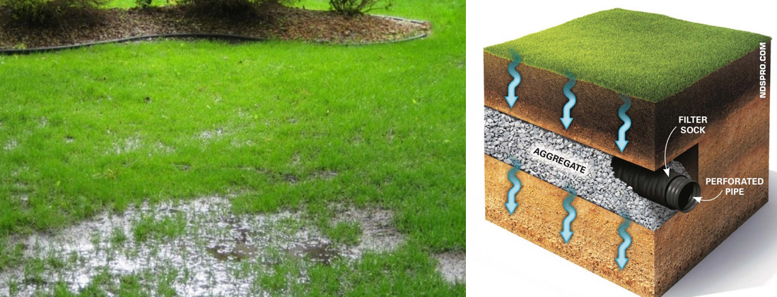 What To Do About Standing Water In Your Yard Atlanta Decking   TOP Standing Water Header 