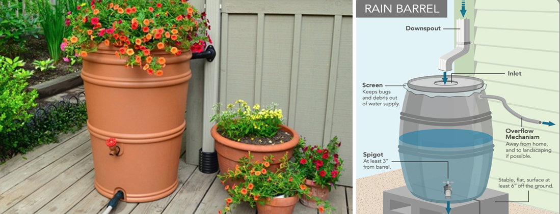 preserving rainwater