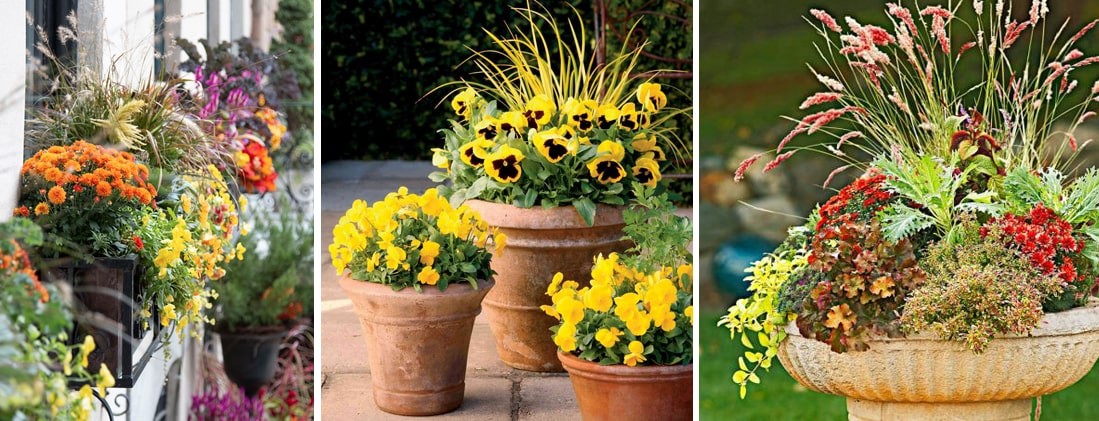 front-porch-Atlanta-Fall-container-plants-footer