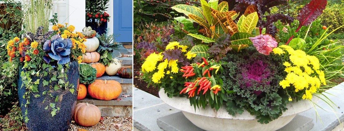 front-porch-Atlanta-Fall-container-plants-header