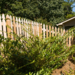 Wood picket fence with a gate and arched arbor in Johns Creek, Georgia.
